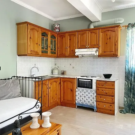 公寓 Salome's Lefkada